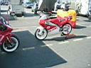 /img/foto/gp04/1/IMG_2076.JPG