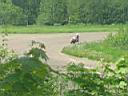 /img/foto/gp04/2/IMG_2458.JPG