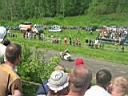 /img/foto/gp04/2/IMG_2467.JPG