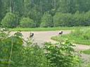 /img/foto/gp04/2/IMG_2475.JPG