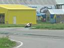 /img/foto/gp04/3/IMG_2862.JPG